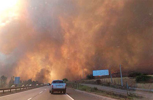 incendios forestales en Alemania Estado de emergencia en una región de Alemania por incendios forestales